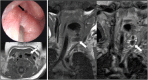 Fig. 8