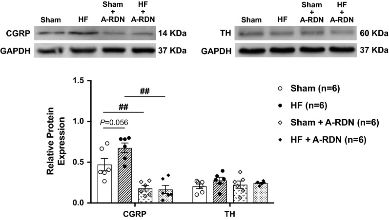 Fig. 6