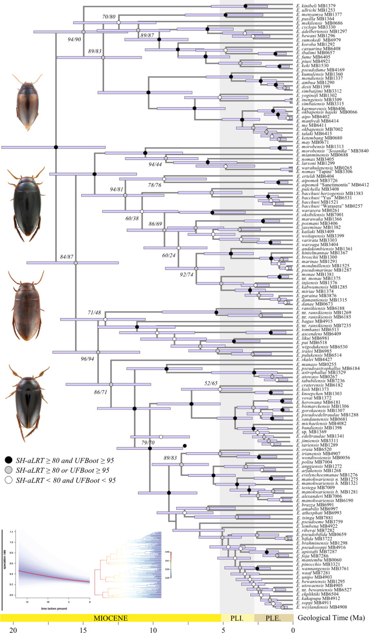 Fig. 3