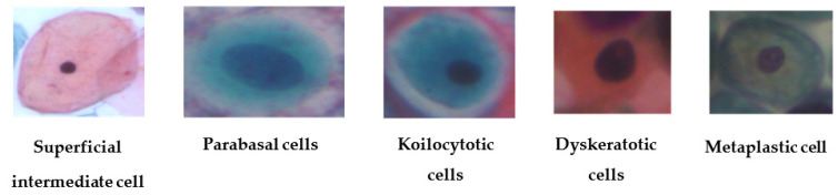 Figure 5