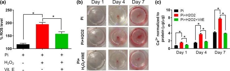 Figure 6