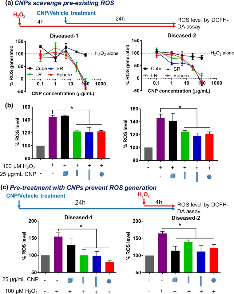 Figure 4