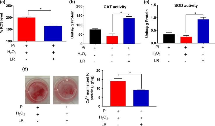 Figure 7