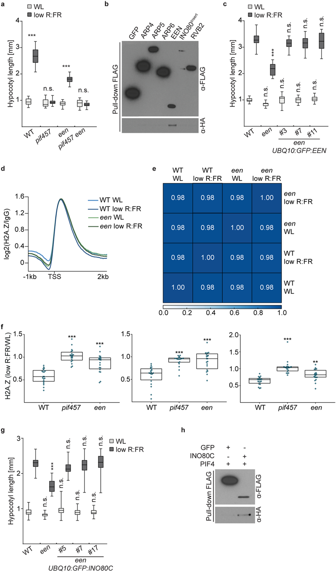 Extended Data Fig. 5 |