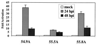 FIG. 7