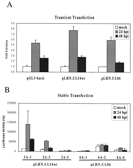 FIG. 1