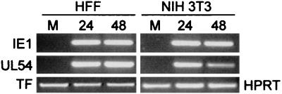 FIG. 8