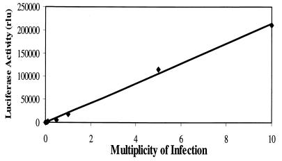 FIG. 5