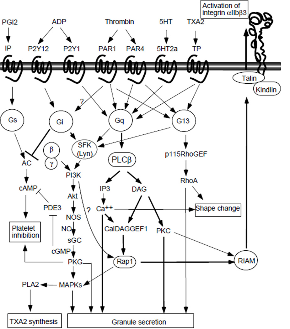 Fig. 2