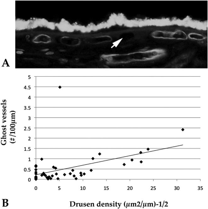 Fig. 8