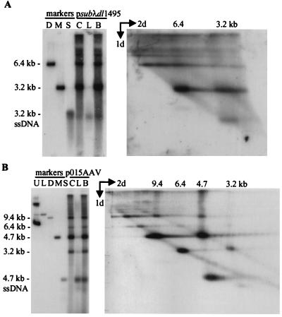 FIG. 8