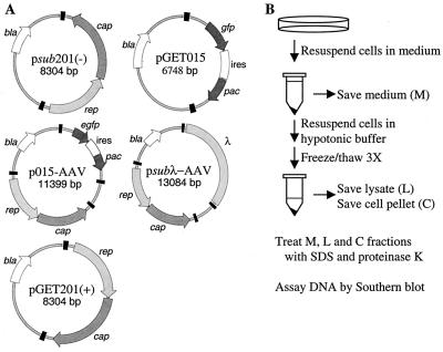 FIG. 1