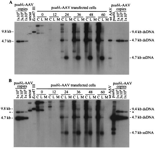 FIG. 4