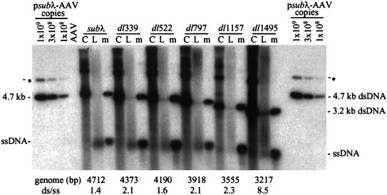 FIG. 6