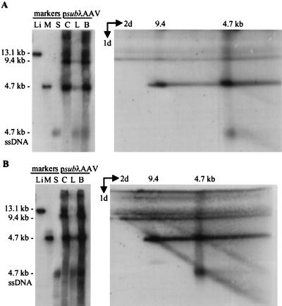 FIG. 7