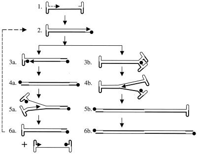 FIG. 9