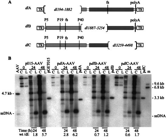 FIG. 5