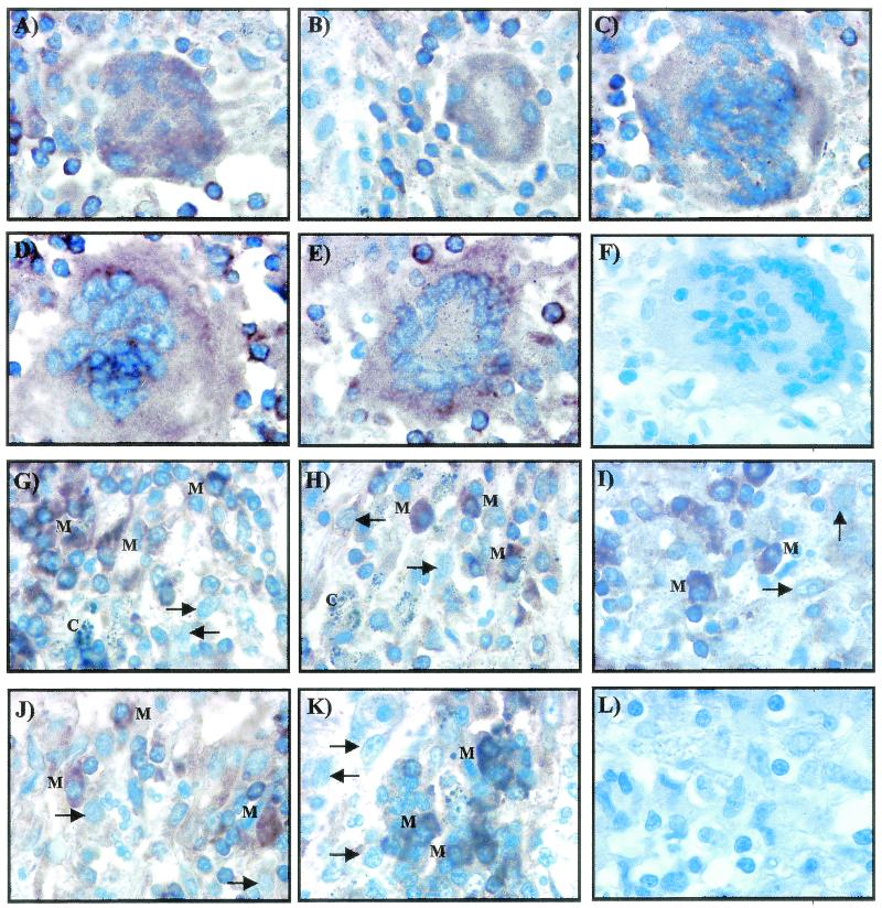 FIG. 2.