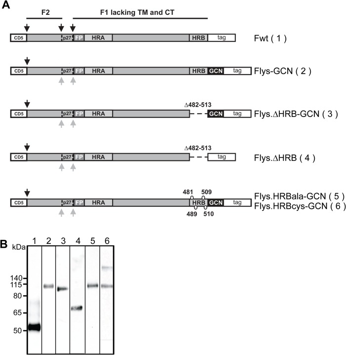 Fig 4