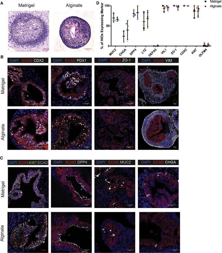 Figure 2