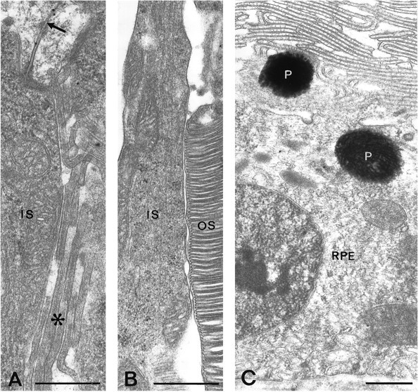 Fig. 6.