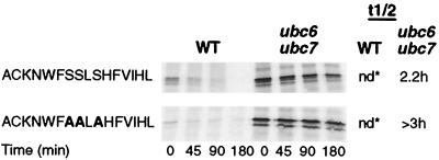 FIG. 6