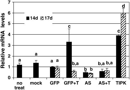 Figure 9.