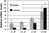 Figure 6.
