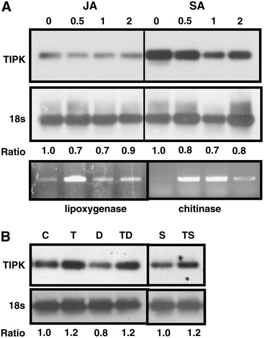 Figure 5.