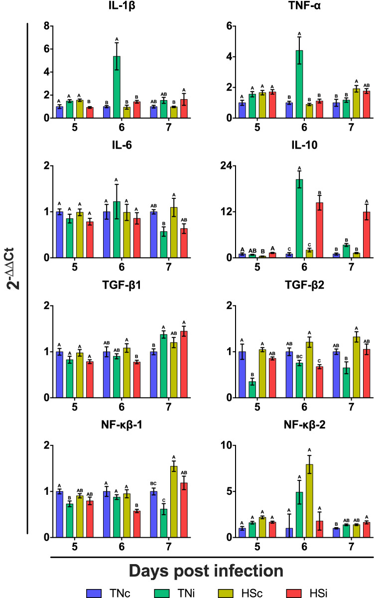 Figure 11