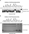 FIG 6