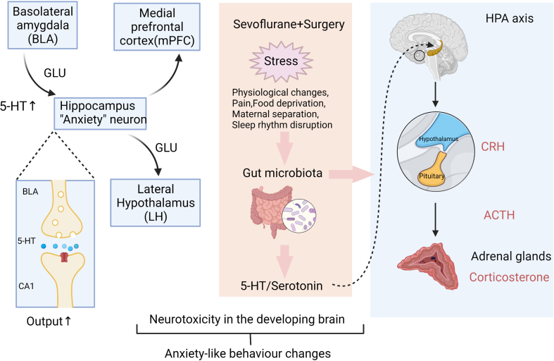 Supplementary Fig. S3