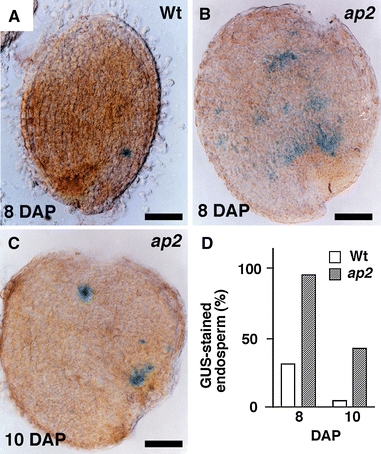 Fig. 7