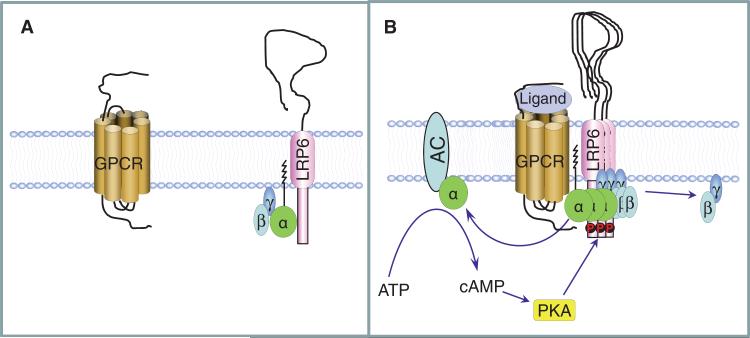 Fig. 8