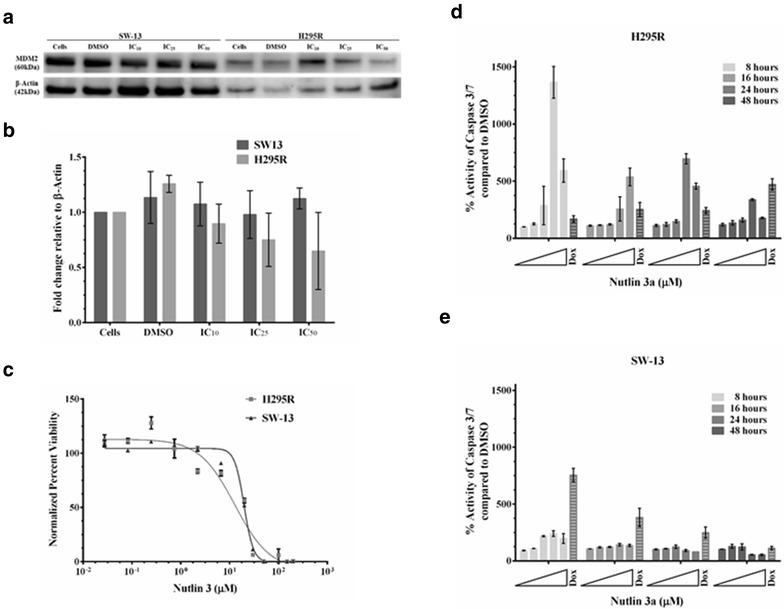 Fig. 6