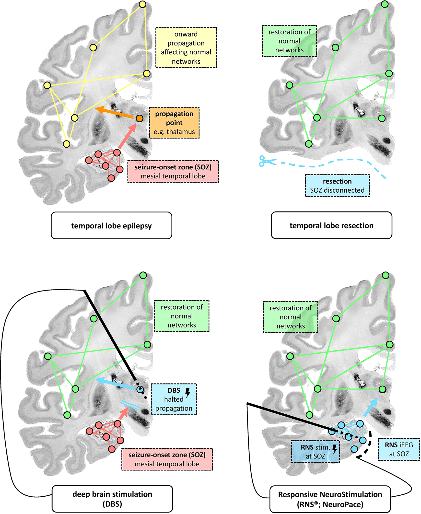 Figure 2: