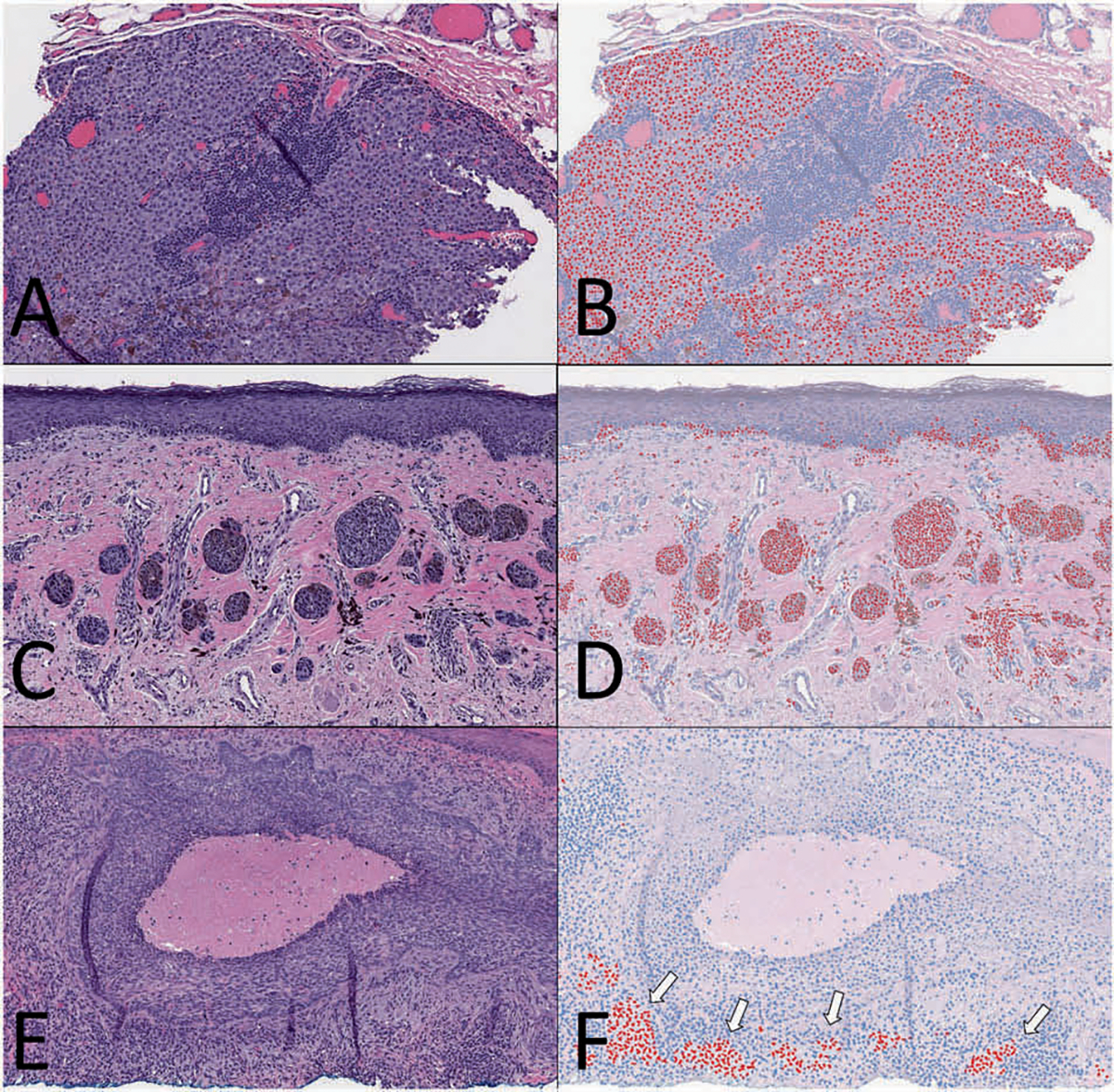 Fig. 8