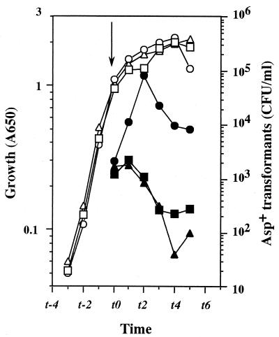 FIG. 5.