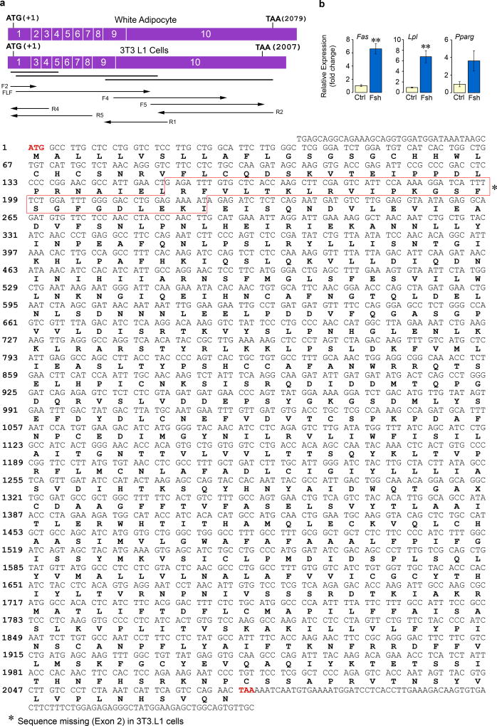 Extended Data Figure 7