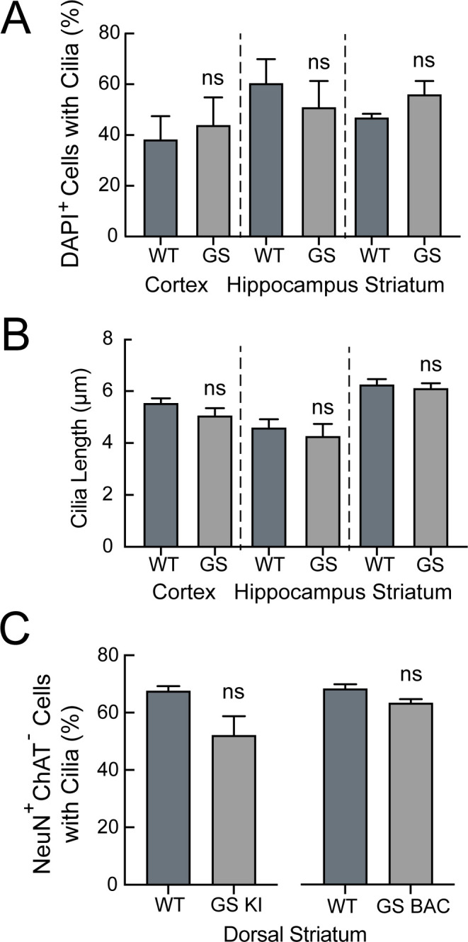 Figure 1—figure supplement 1.