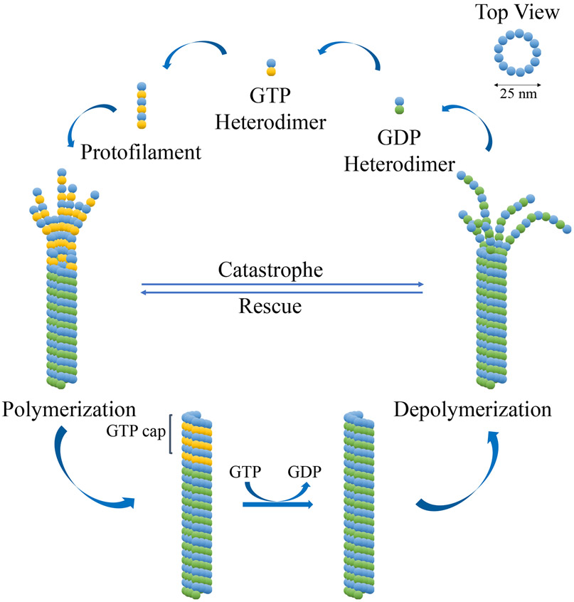 Figure 1: