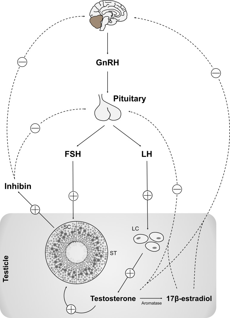 Fig. 1