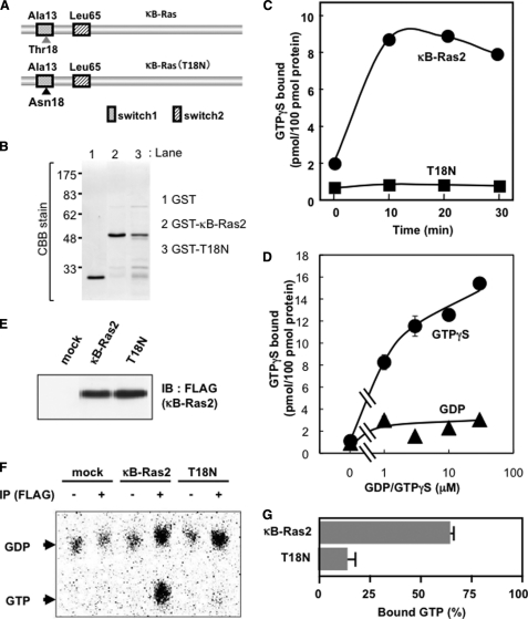 FIGURE 2.