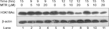 Supplementary Fig. S9