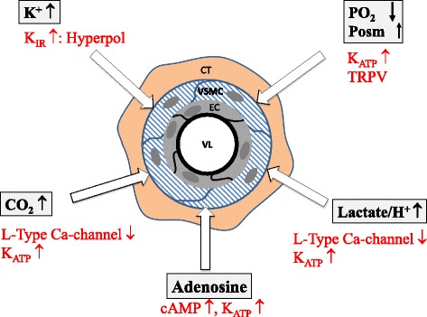 Fig. 3