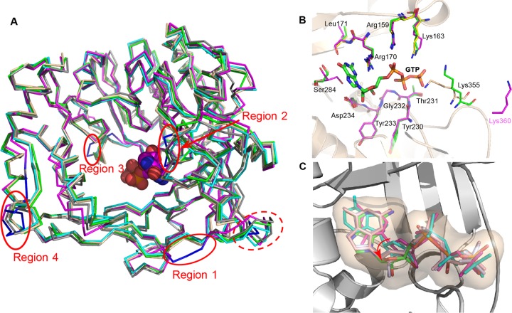 FIG 2