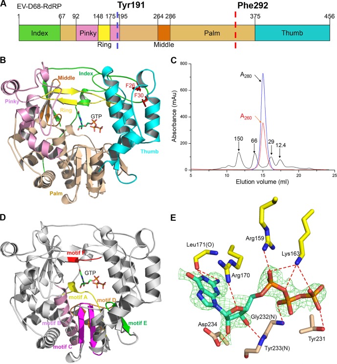 FIG 1