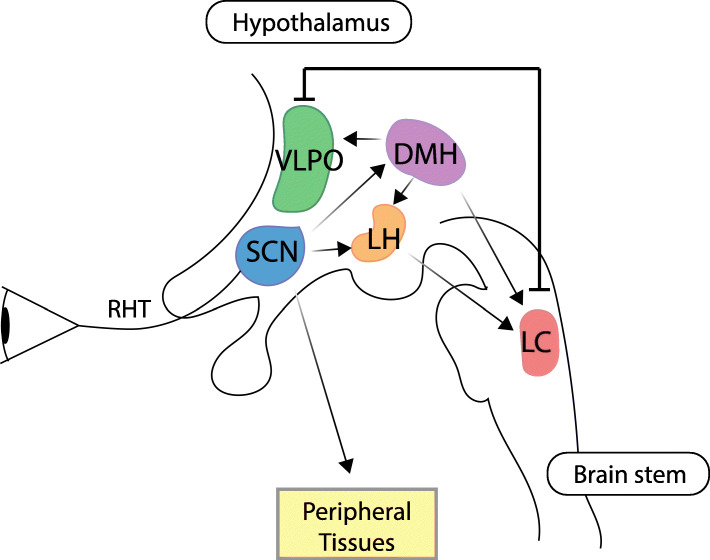 Fig. 2