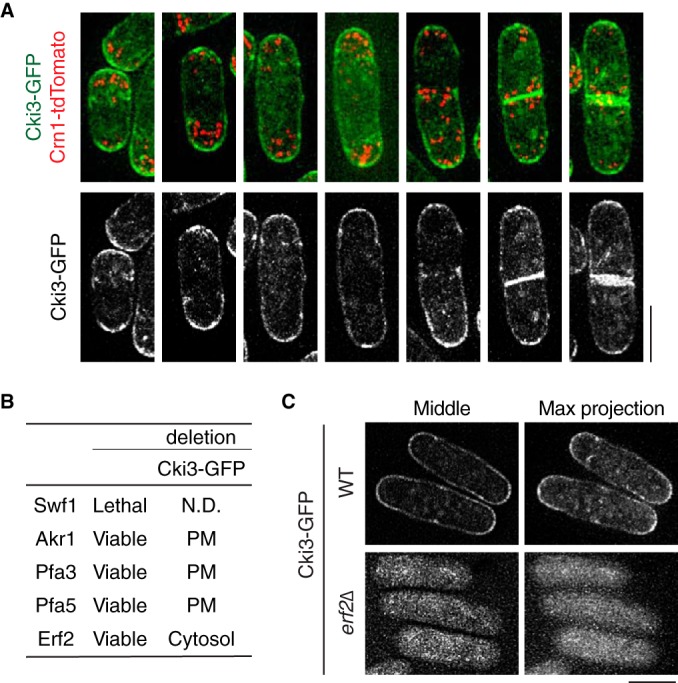 FIG 6