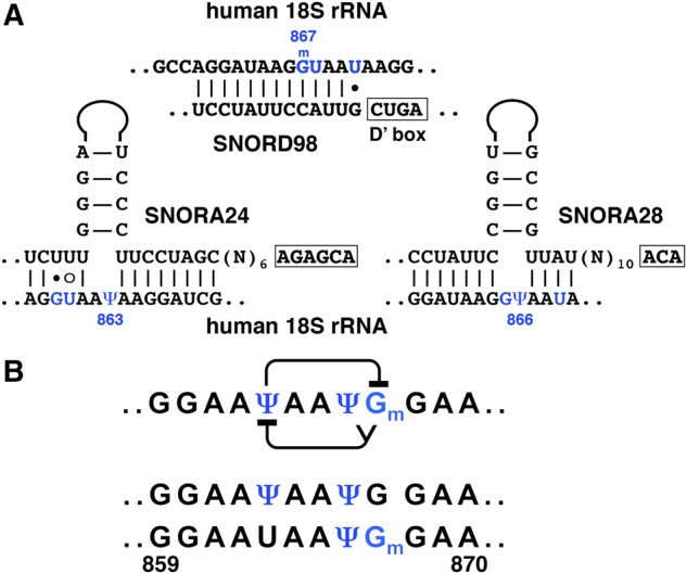 FIGURE 9.